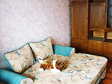 Квартира 9